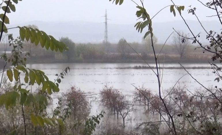 Identifikohet KUFOMA e gjetur mëngjesin e sotëm në lumin Shkumbin. Vuante nga… (EMRI)