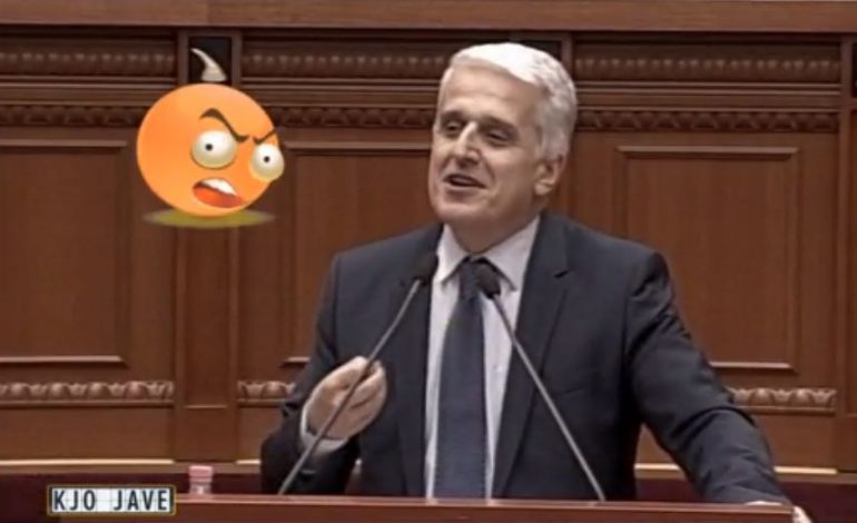 VIDEO/ “Lule ti, lule unë, dil këtej se kam pak punë”, batuta dhe të qeshura në Kuvendin e kësaj jave