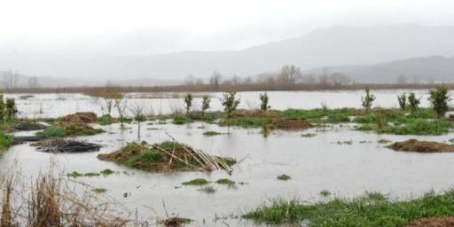 Përkeqësohet situata në Shkodër/ Bllokohen 25 familje nga përmbytjet, emergjencë