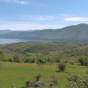 Pezullohet dhënia e tapive të tokave, qeveria ndal veprimin e ligjit
