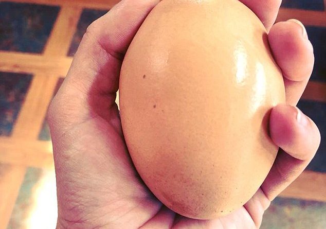 Gjen një vezë dhe e hap, zbulon diçka të pabesueshme (FOTO)