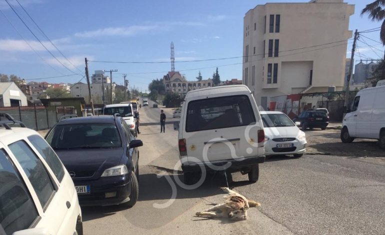Makina pa targa tërheq zvarrë qenin në Durrës duke… (PAMJE TË RENDA)
