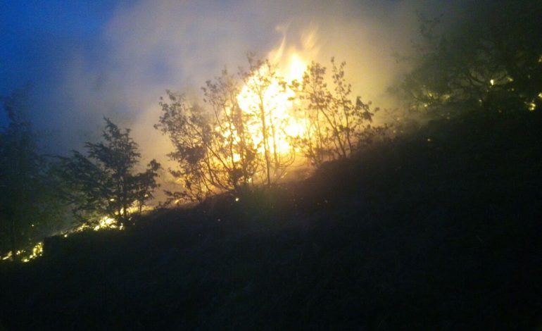 I vuri zjarrin pyllit dhe rrezikoi 10 banesa nga flakët, arrestohet 29-vjeçari nga Mirdita