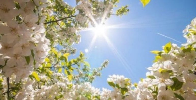 MOTI për ditën e sotme/ SHIRA lokal, por temperaturat do të arrijnë vlerat maksimale