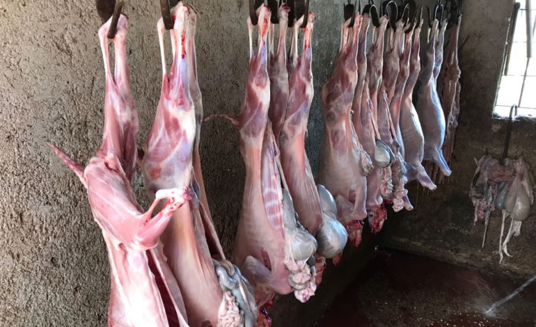 SKANDALI NË DELVINË/ Sekuestrohen 115 kg mish qengji e keci, thereshin në STALL bagëtish