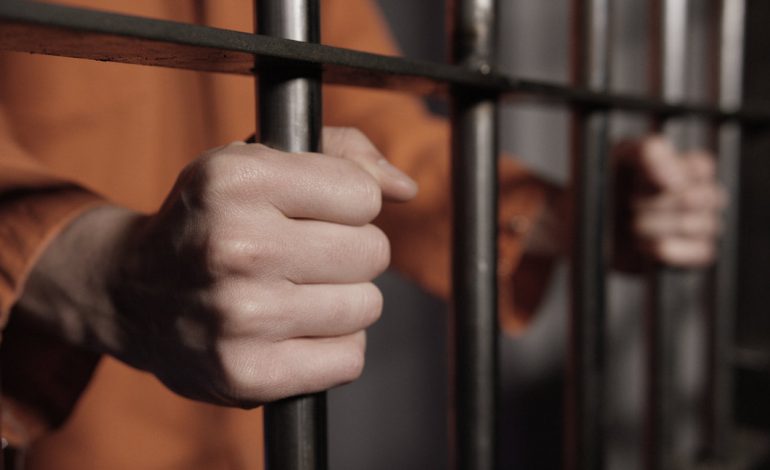 HORRORI/ Goditi për vdekje 12 HERË ME THIKË gruan në sy të fëmijëve. 20 vjeçari SHQIPTAR…