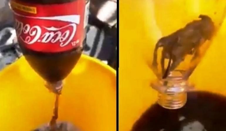 Shikon diçka të pazakontë dhe zbraz shishen, gjen mi në Coca-Cola