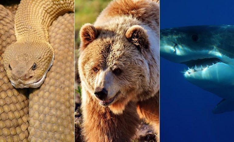 Rastësi apo fat? Historia e çuditshme e 20-vjeçarit që i shpëtoi…