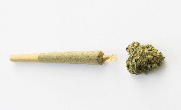 NDODH NË DURRËS/ 19 vjeçarja kapet në flagrancë me 2 doza marijuanë. I kishte futur në…