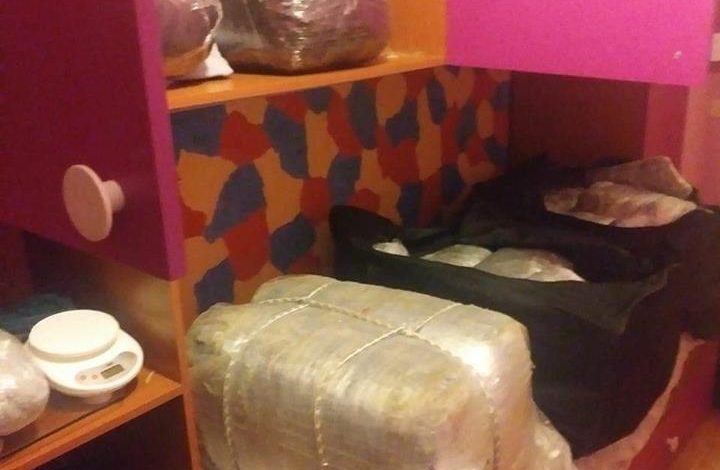 60 KG kanabis brenda apartamentit në Romë/ Kërkohet 20 vjeçari VLONJAT që…