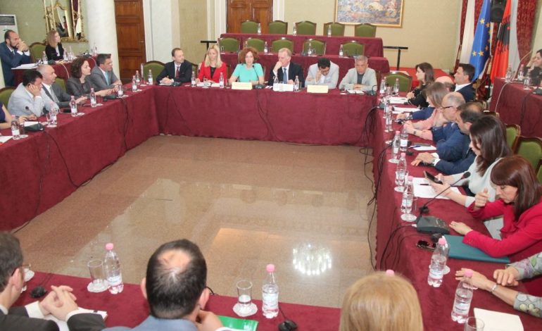 REKOMANDIMI/ Duma: Me çfarë argumentesh do bindni vendet anëtare? Vlahutin: S’është puna jonë të….