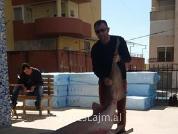 Në Shqipëri nisin të kapen “PESHQIT E MËDHENJ”… prej vërteti! (VIDEO+FOTO)