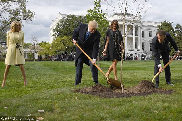 “Zhduket” pema që Macron mbolli me Donald Trump (FOTO LAJM)