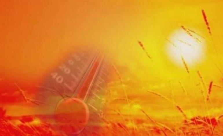 ERDHI VERA! Ja sa shkojnë temperaturat nesër, nga 24 gradë në… (FOTO)