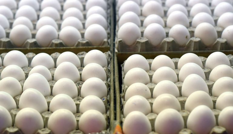 22 të sëmurë në SHBA, kërkohet rikthimi në supermarkete i 200 milionë vezëve