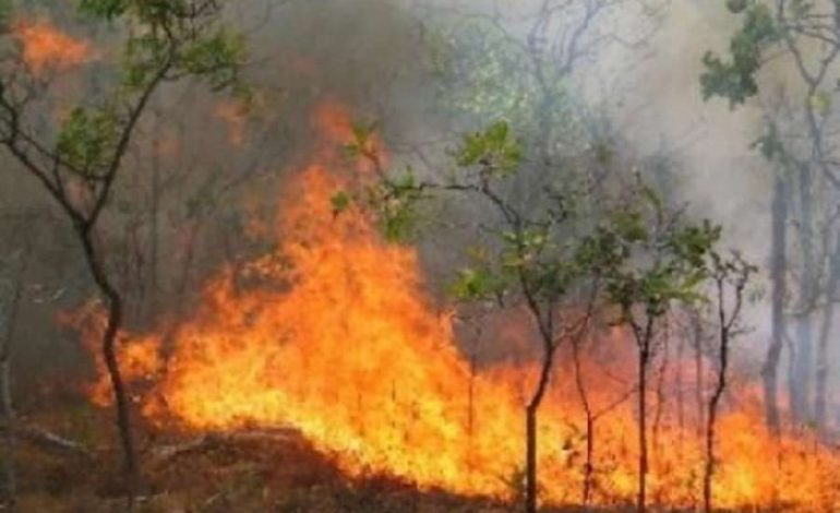 MIRDITË/ Zjarr i përmasave të mëdha, rrezikohen 10 banesa. Zjarrfikësja e ka të pamundur ndërhyrjen