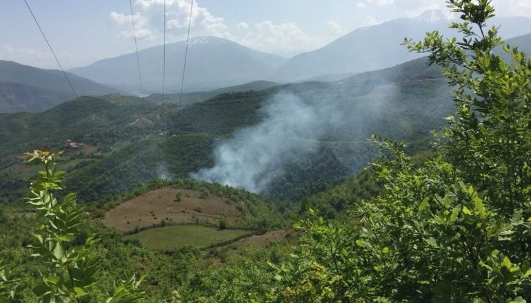 Dy zjarre brenda 10 ditësh, digjen 5 ha pyje në Shtanë të Kukësit