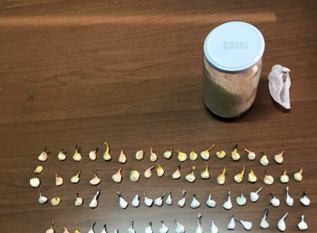 (FOTO) Droga në burgun e Fierit transportohet përmes…. postës/ Policia sekuestron 13 doza, ja destinacioni