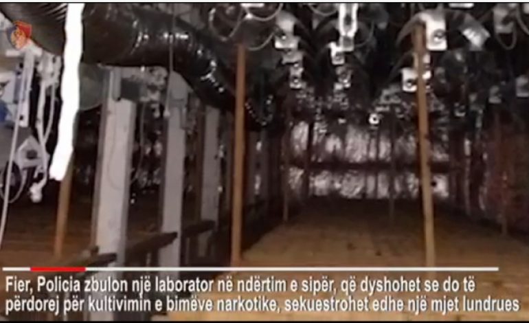 LABORATORI I DROGES NE FIER/ Zbardhet dëshmia e punonjësve: Po ndërtonim pulari