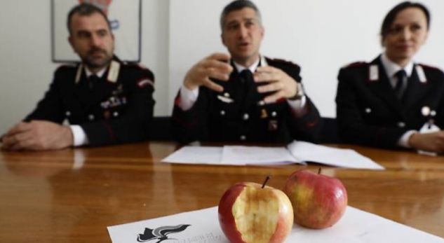 “VEPRA E NJË SHQIPTARI”/ Linte pas një mollë të kafshuar për çdo vjedhje, por…