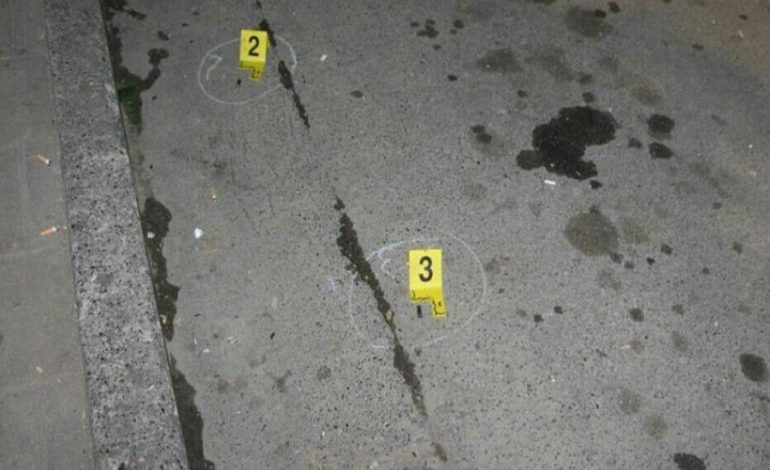PLUMBA NË DREJTIM TË MAKINËS/ Zbardhen DETAJET: Si iu bë atentat për GJAKMARRJE 24 vjeçarit…