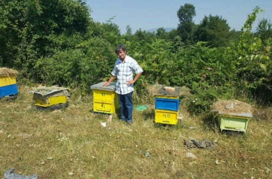 NDODH EDHE KJO/ Shtohen “SKIFTERËT” e bletëve. Banorët: Po na vjedhin kosheret…