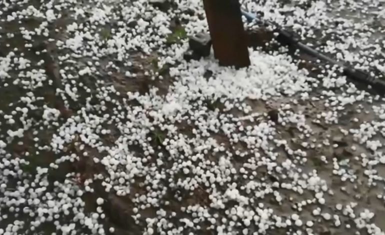 VIDEO/ Fenomeni i pazakontë në Gramsh, shihni se çfarë ka ndodhur