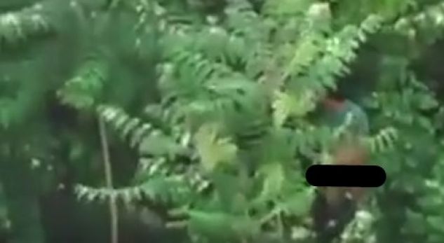 Tmerrohet vajza në konvikt: Burri me bark të madh nxori organin gjenital dhe u… (PAMJE TRONDITËSE)