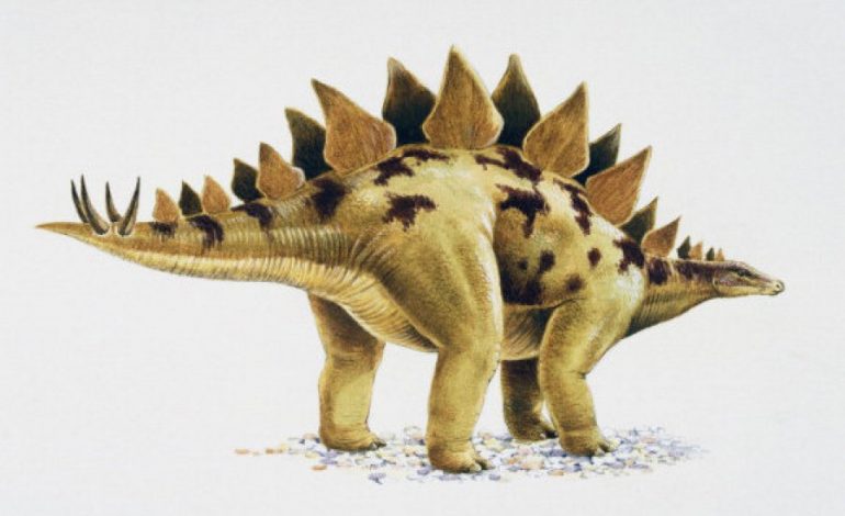 Dinosaurët dhe njerëzit mund të kenë bashkëjetuar