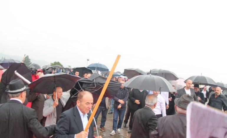 SHERRI TE DESHMORET/ Çfarë i nxiti mbështetësit e PD të përplasen me veteranët