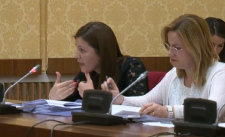 Komisioni për Tahirin mes debateve dhe thumbimeve, Paloka paralajmëron Feljan, Noka ironi me Finon