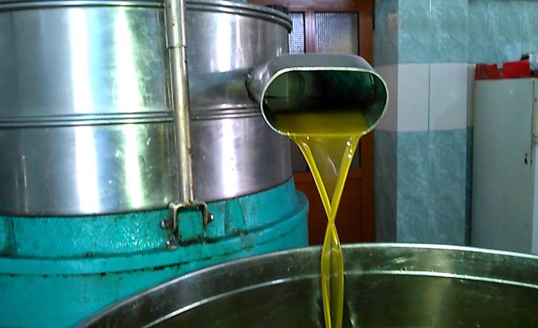 SHKODER/ Prodhonte konserva dhe vaj ulliri jashtë standardeve. Kontrolli zbuloi se… (FOTO)