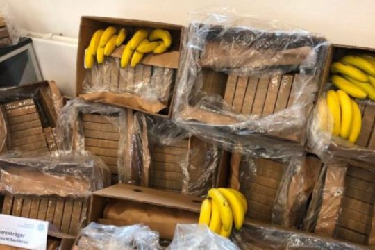 Goditja e katërt e DEA-s ndaj mafies shqiptare: Drogë e banane edhe në Belgjikë, kapet 313 kokainë