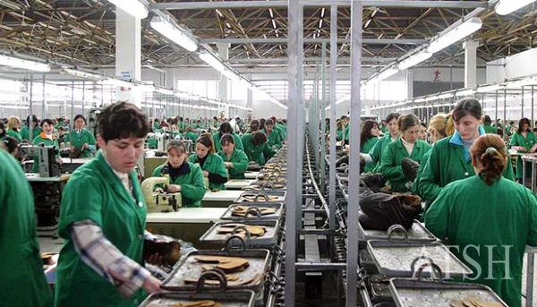 Kontradikta, kërkohet punë kur ka 10 mijë vende bosh