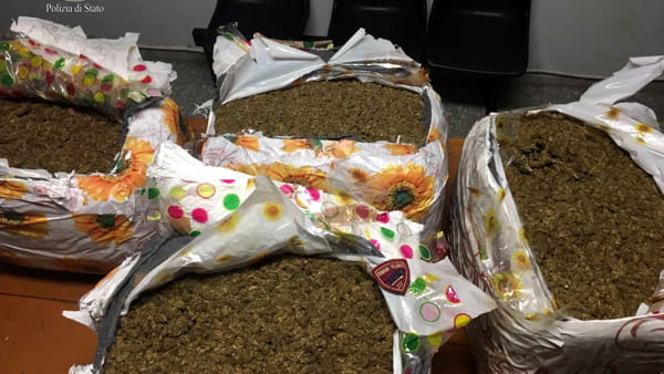 11 PAKO ME DROGË/ Si u kapën KATËR shqiptarët në Greqi, mes tyre një FEMËR. Tentuan të…