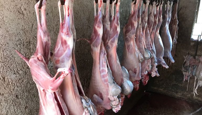 SKANDAL NE ELBASAN/ Sekuestrim rekord, AKU bllokon 10 ton mish pasi dyshohet i kontaminuar