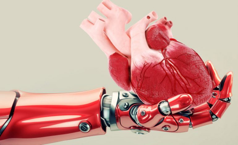 Arritjet e reja në teknologji/ Robotët tani rrisin organe njerëzore