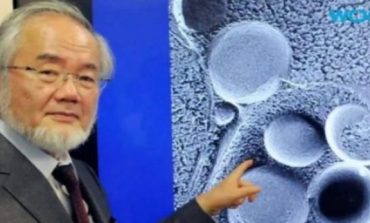 Shkencëtari Japonez, fitues i çmimit Nobel, tregon se si pastrohet trupi gjatë Ramazanit
