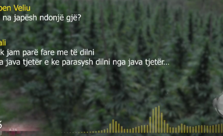 DEL AUDIOPËRGJIMI I RI/ Si gjendet droga dhe si bëhen pazaret në Vlorë nga… (FOTOT)