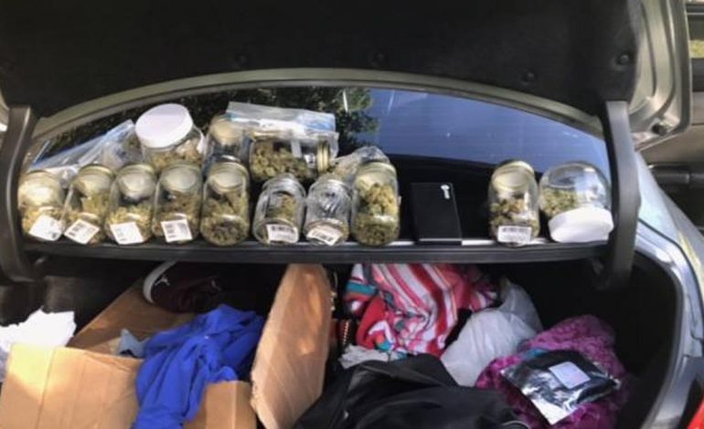 ME 8 KILOGRAMË MARIJUANË NË MAKINË/ Policia italiane kap 40-vjeçarin SHQIPTAR. Ishte bashkë me…