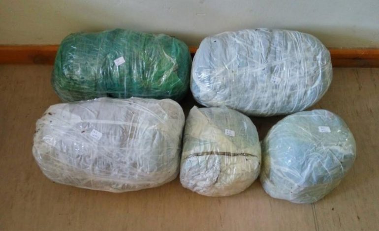 KORFUZ/ Arrestohet i riu shqiptar, qeni i “bënë gropën”. Droga që kishte me vete…
