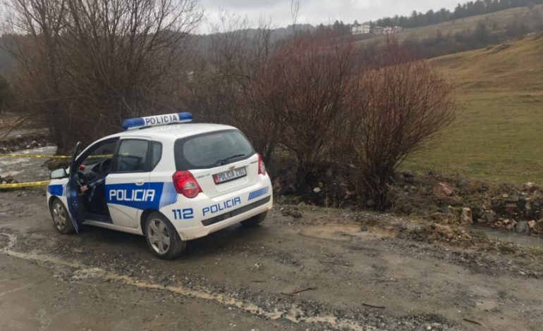Fluks emigrantësh/ Kalojnë nga mali për të hyrë ilegalisht, shtohet patrullimet në kufi me Greqinë