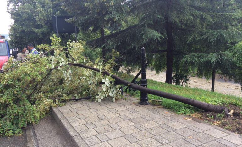 FOTOT/ Stuhia e fortë e shiut, Veliaj: Skuadrat po normalizojnë situatën