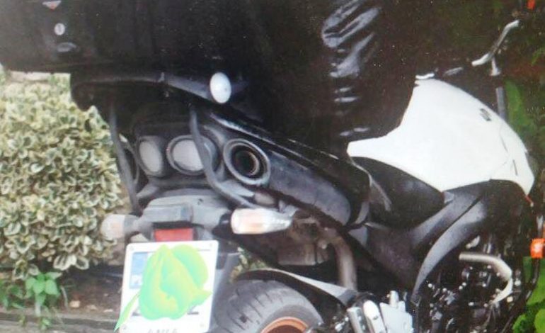 NDODH NË MEMALIAJ/ 44-vjeçari GRABIT dokumentat dhe paratë e TURISTËVE. E pëson keq kur…