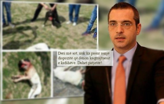 PR.LIGJI PËR KAFSHËT/ Partia Socialiste zëvendëson Tahirin, i merr dhe “meritat”… (VIDEO)