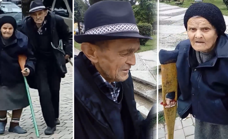 VAJZA ME DHËNDRIN I MORËN LEKËT/ Fjalët që të thyejnë zemrën: Po kërkojmë PEMË që të flemë…