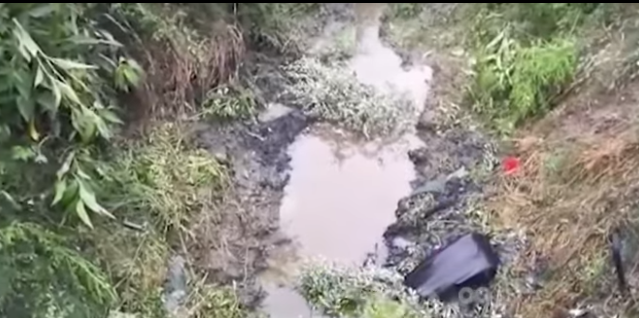 AKSIDENTI NE LUSHNJE/ Dalin PAMJET nga vendi i ngjarjes ku humbi jetën 24 vjeçari dhe mbeti i plagosur…
