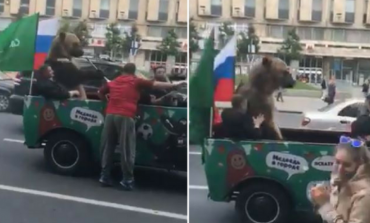 Sureale në rrugët e Moskës, ariu i bie vuvuzelës i hipur mbi xhip (VIDEO)