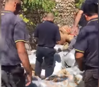 DALIN PAMJET/ Droga e kapur në Karaburun, zbulohet PESHA e saktë… (VIDEO)