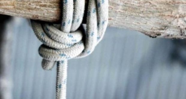 17 VJEÇARJA U GJET E VARUR NË PEMË/ Prindërit flasin pas GJËMËS: Pse na e bëri…